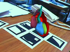 Building the Human Heart